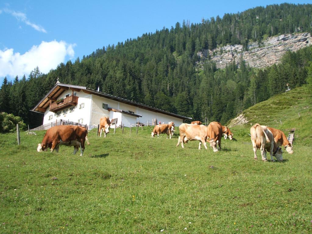 Grieswirt Hotel St. Johann in Tirol Eksteriør billede