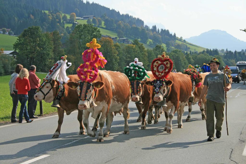 Grieswirt Hotel St. Johann in Tirol Eksteriør billede